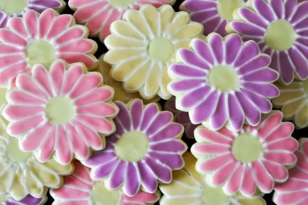 The Best Rolled Sugar Cookies